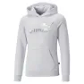 Puma Ess+ Nova Shine Logo Sweatshirt male