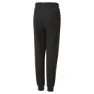 Puma Ess+street Art Hosen male, Puma black