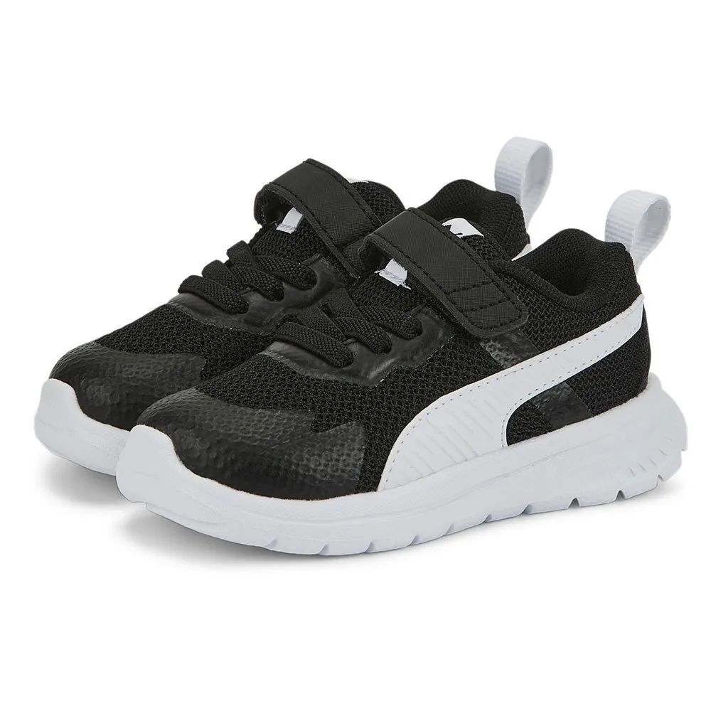 Puma Evolve Run Mesh Laufschuhe male