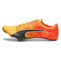 Puma Evospeed Future Fast Laufschuhe male Puma Evospeed Future Fast Laufschuhe male