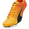 Puma Evospeed Future Fast Laufschuhe male