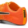 Puma Evospeed Future Fast Laufschuhe male
