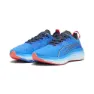 Ultra blue / black