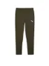 Olive 1