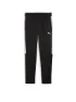 Puma Herren Jogginghose Team Evostripe
