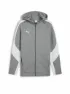 Puma Herren Kapuzenjacke Teamevostripe