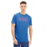 Palace blue