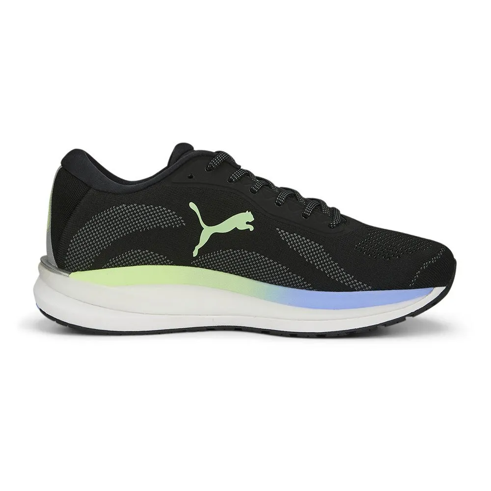 Puma Magnify Nitro Knit Laufschuhe male Puma Magnify Nitro Knit Laufschuhe male