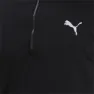 Puma Run Favorite 1/4 Zip Langarm-t-shirt male, Puma black