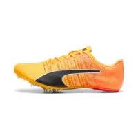 Puma Teamwear Evospeed Future 6 Laufschuhe male Puma Teamwear Evospeed Future 6 Laufschuhe male