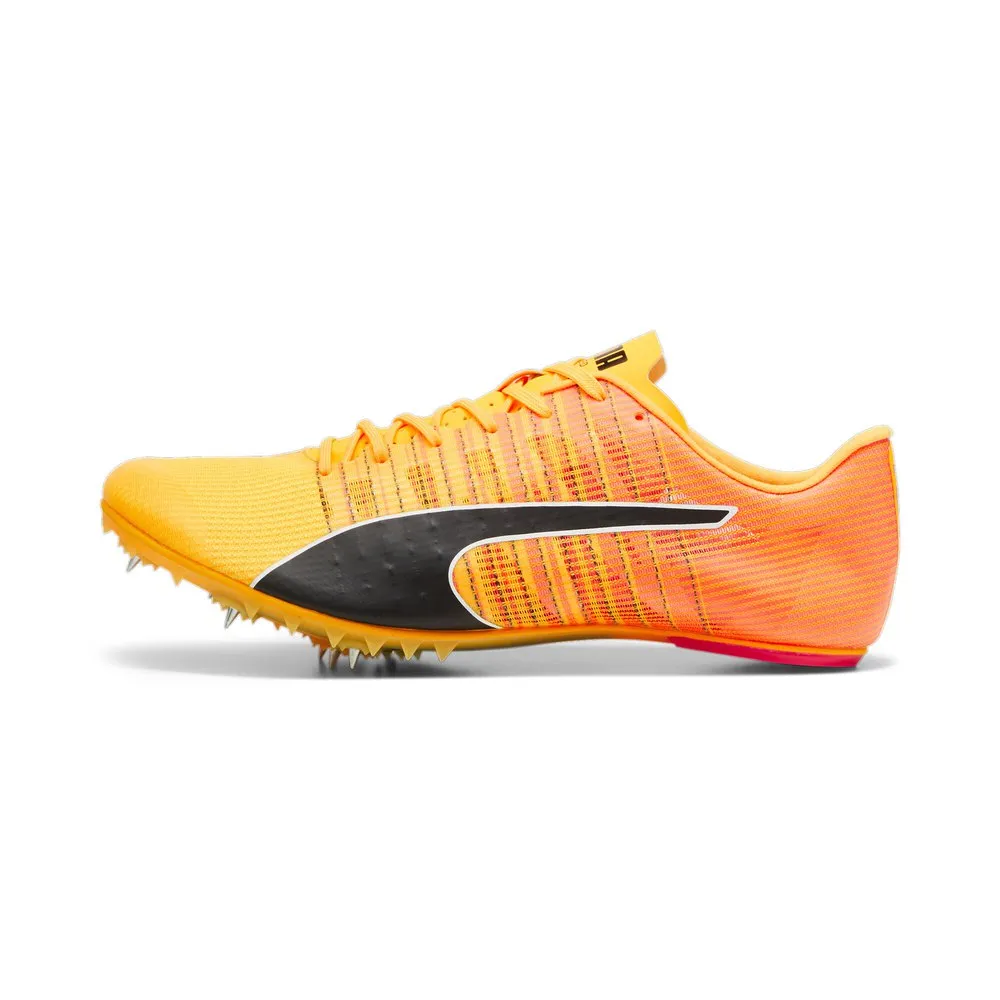 Puma Teamwear Evospeed Future 6 Laufschuhe male