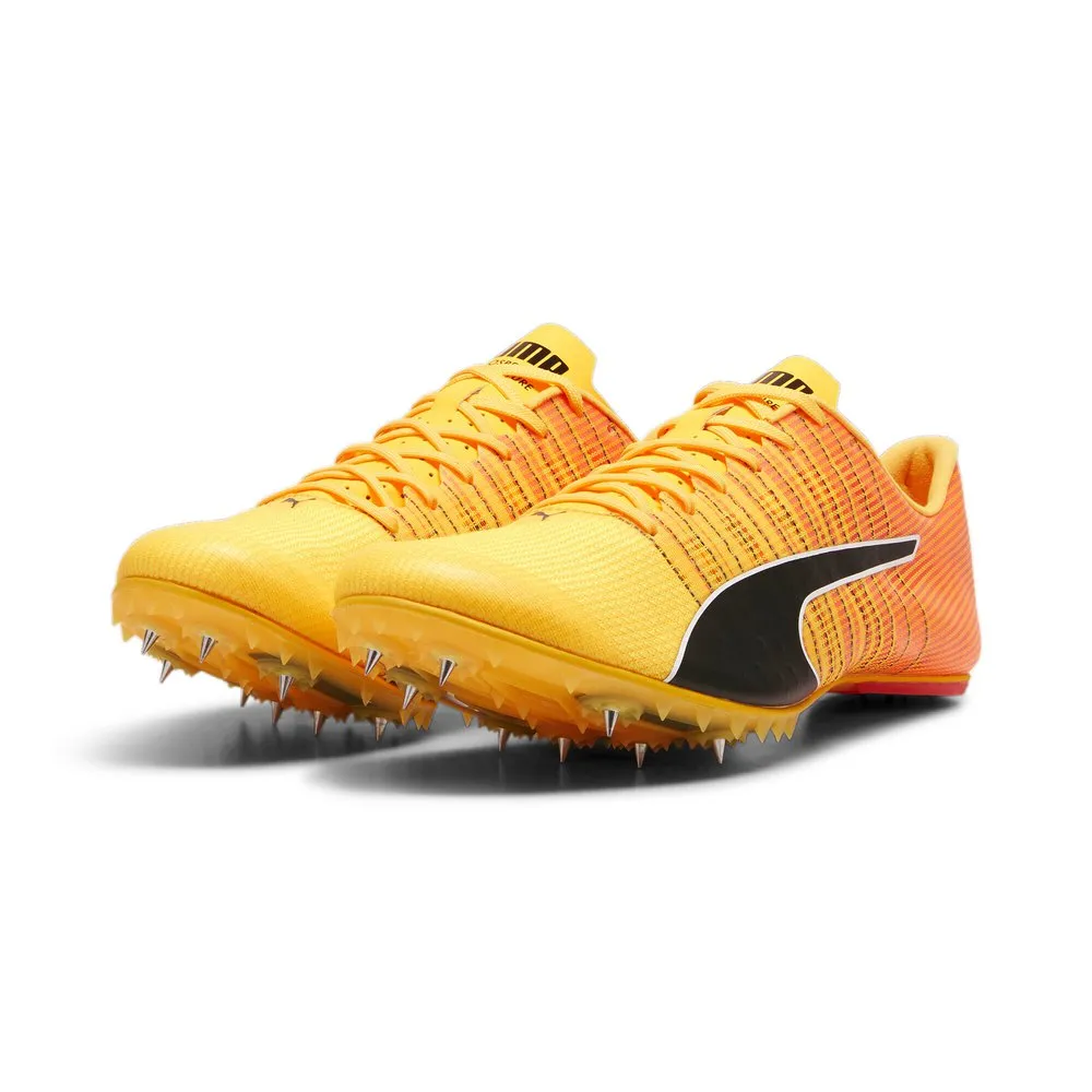 Puma Teamwear Evospeed Future 6 Laufschuhe male