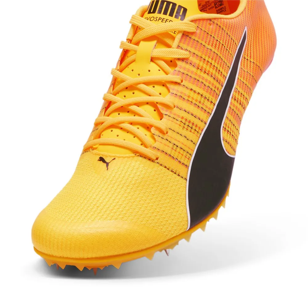 Puma Teamwear Evospeed Future 6 Laufschuhe male