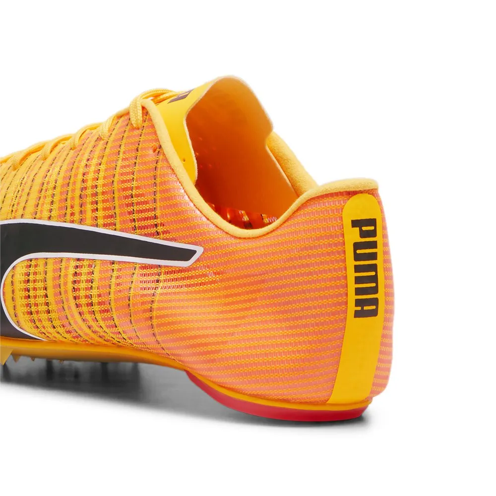 Puma Teamwear Evospeed Future 6 Laufschuhe male