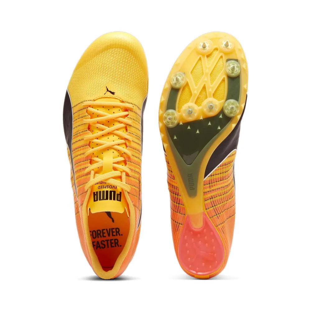 Puma Teamwear Evospeed Future 6 Laufschuhe male