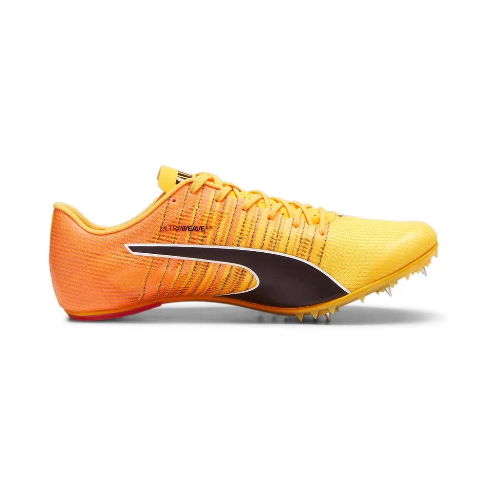 Puma Teamwear Evospeed Future 6 Laufschuhe male