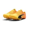 Puma Teamwear Evospeed Future 6 Laufschuhe male
