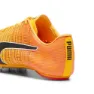 Puma Teamwear Evospeed Future 6 Laufschuhe male