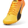Puma Teamwear Evospeed Future 6 Laufschuhe male