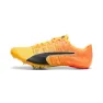 Puma Teamwear Evospeed Future 6 Laufschuhe male