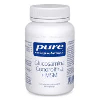 Pure Encapsulations Glucosamine Chondroitine + Msm Kapseln 60 Einheiten Pure Encapsulations Glucosamine Chondroitine + Msm Kapseln 60 Einheiten