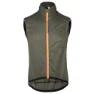 Olive green 2