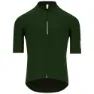 Forest green 1