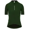 Forest green 2