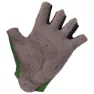 Q36.5 Dottore Pro Kurze Handschuhe