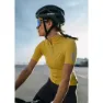 Q36.5 L1 Pinstripe Pro Kurzarm-radtrikot