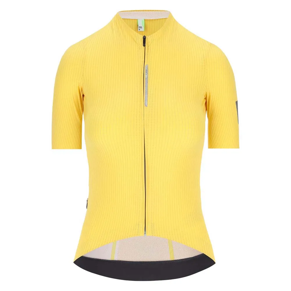 Q36.5 L1 Pinstripe Pro Kurzarm-radtrikot Q36.5 L1 Pinstripe Pro Kurzarm-radtrikot