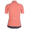 Q36.5 L1 Pinstripe X Kurzarm-radtrikot