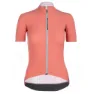 Q36.5 L1 Pinstripe X Kurzarm-radtrikot