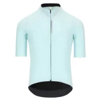 Q36.5 Pinstripe Pro Kurzarm-radtrikot Q36.5 Pinstripe Pro Kurzarm-radtrikot
