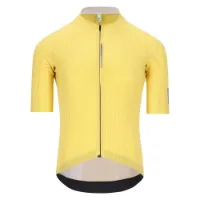 Q36.5 Pinstripe Pro Kurzarm-radtrikot