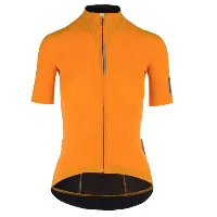 Q36.5 Pinstripe Pro Kurzarm-radtrikot Q36.5 Pinstripe Pro Kurzarm-radtrikot