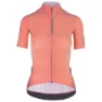 Q36.5 Pinstripe Pro Kurzarm-radtrikot