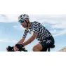 Q36.5 R2 Light Nibali Shark Kurzarm-radtrikot