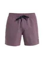 Quiksilver Herren Badeshort Everyday Solid Volley 15 Quiksilver Herren Badeshort Everyday Solid Volley 15