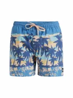 Quiksilver Herren Badeshort Everyday Straight 15 Quiksilver Herren Badeshort Everyday Straight 15