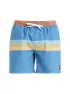 Quiksilver Herren Badeshort Everyday Straight 15