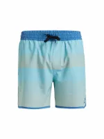 Quiksilver Herren Badeshort Surfsilk Scallop Volley 16 Quiksilver Herren Badeshort Surfsilk Scallop Volley 16