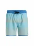 Quiksilver Herren Badeshort Surfsilk Scallop Volley 16