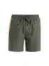 Quiksilver Herren Beachshort Everyday Holmes 16