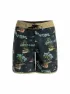 Quiksilver Herren Beachshort Surfsilk Scallop 18