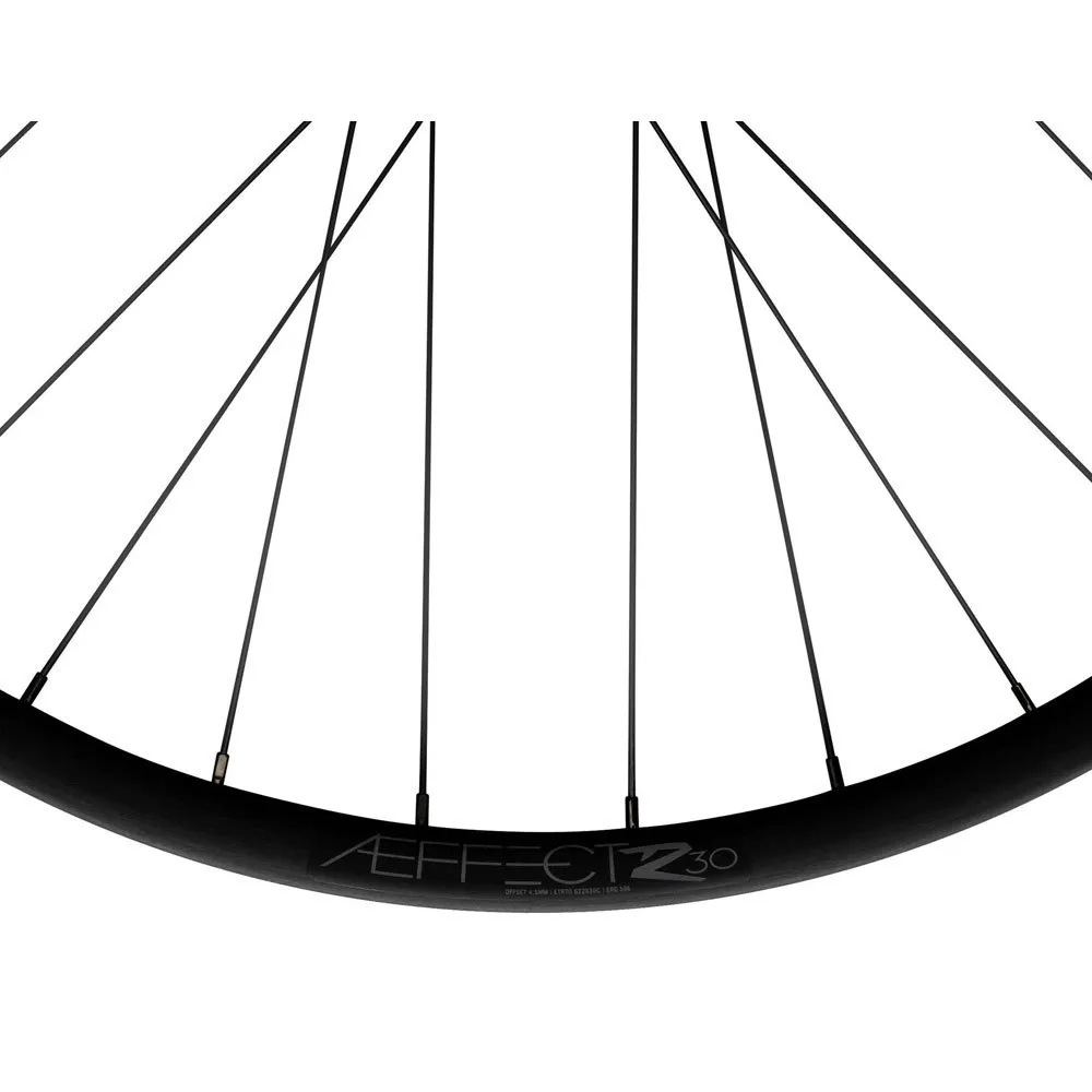 Race Face Aeffect R E-mtb 29´´ Mtb Hinterrad, Black, 12 x 148mm, Sram XD Race Face Aeffect R E-mtb 29´´ Mtb Hinterrad, Black, 12 x 148mm, Sram XD