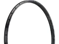 Race Face ARC Offset 30 29" Felge Race Face ARC Offset 30 29" Felge