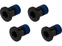 Race Face Kettenblattschrauben Aluminium 4-Arm lang Race Face Kettenblattschrauben Aluminium 4-Arm lang