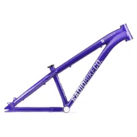 Radio Griffin Pro 26´´ Bmx Rad