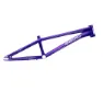 Spectral abyss purple